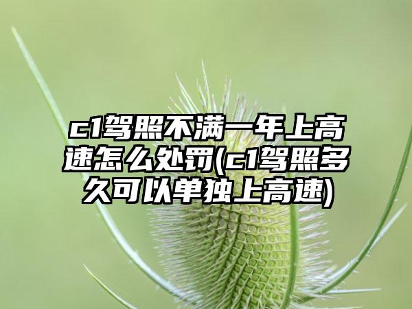 c1驾照不满一年上高速怎么处罚(c1驾照多久可以单独上高速)  第1张