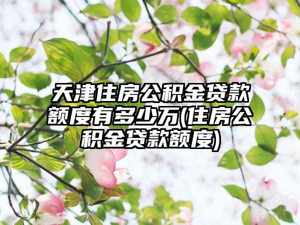 天津住房公积金贷款额度有多少万(住房公积金贷款额度)  第1张