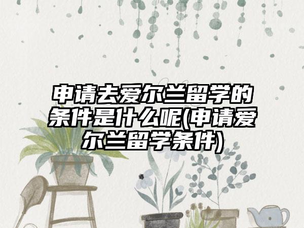 申请去爱尔兰留学的条件是什么呢(申请爱尔兰留学条件)