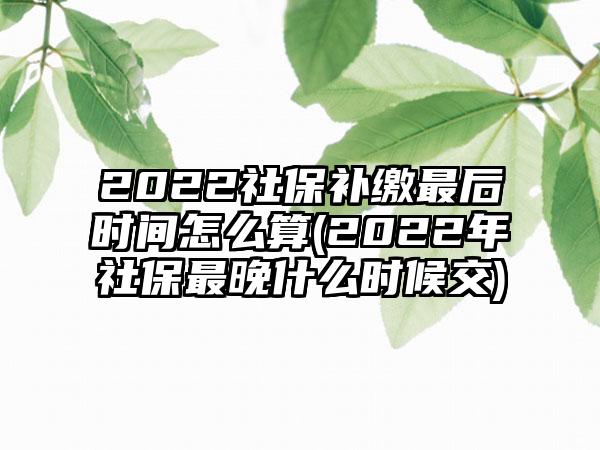 2022社保补缴最后时间怎么算(2022年社保最晚什么时候交)  第1张