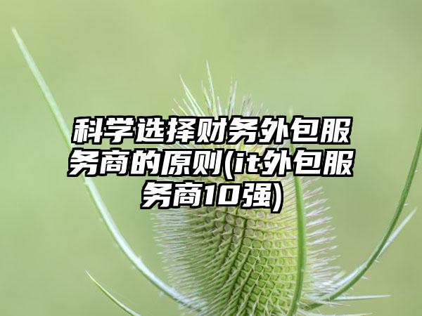 科学选择财务外包服务商的原则(it外包服务商10强)