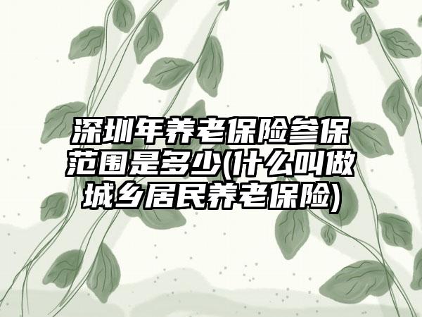 深圳年养老保险参保范围是多少(什么叫做城乡居民养老保险)