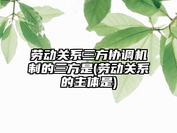 劳动关系三方协调机制的三方是(劳动关系的主体是)  第1张