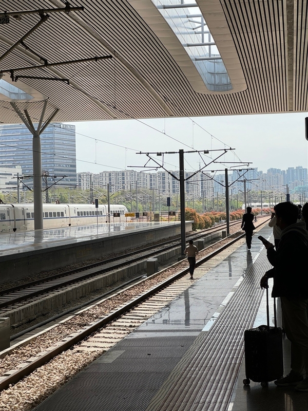 官方通报：杭州东站一男子闯入动车轨道奔跑 受影响列车已恢复  第1张