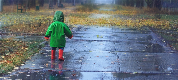 狂风暴雨冰雹突袭福州：有树被吹倒  第1张