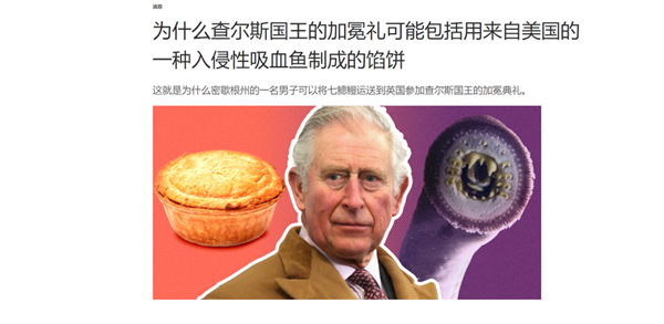 吸血七鳃鳗做馅饼 为何这种丑陋的动物深受英国皇室青睐  第9张