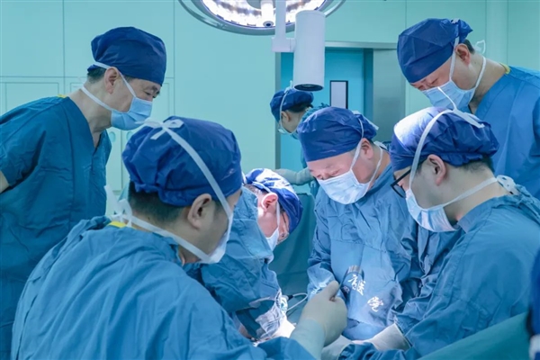 中国成功将猪肾移植人体！脑死亡也能产生尿液  第1张