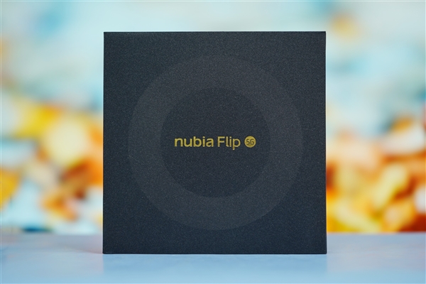 折叠屏手机仅2999元！努比亚Flip图赏  第29张