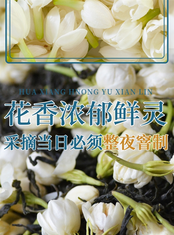 免费喝1两：江西老字号春蕾茉莉超特花茶半斤29元半价包邮  第6张