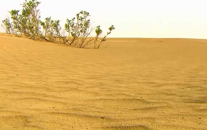 热带沙漠气候的特点及成因  第3张