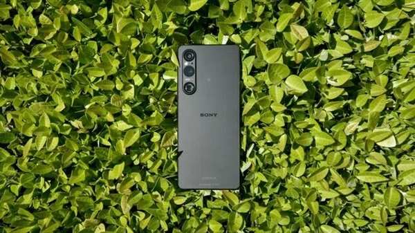 索尼Xperia 1 VI外观首度曝光：祖传4K带鱼屏被砍