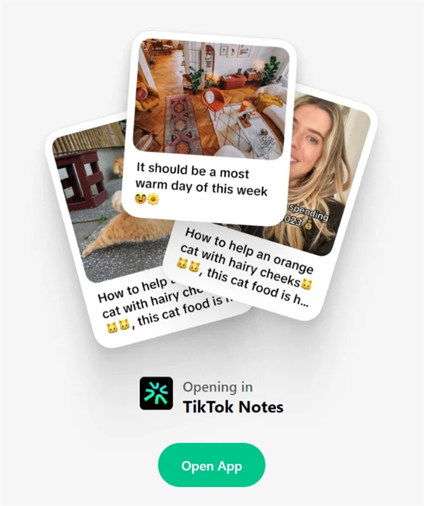 挑战Instagram！TikTok确认开发照片分享应用  第2张
