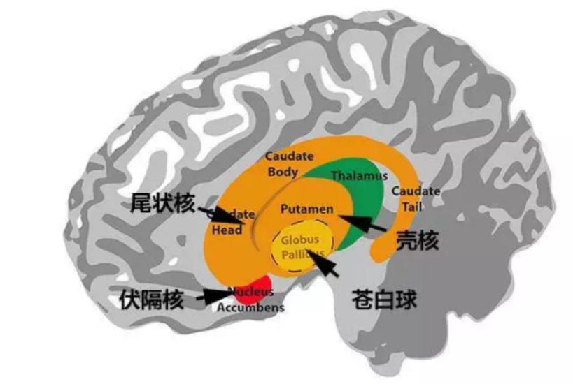 睡眠、饮食、运动，提高记忆力有妙招