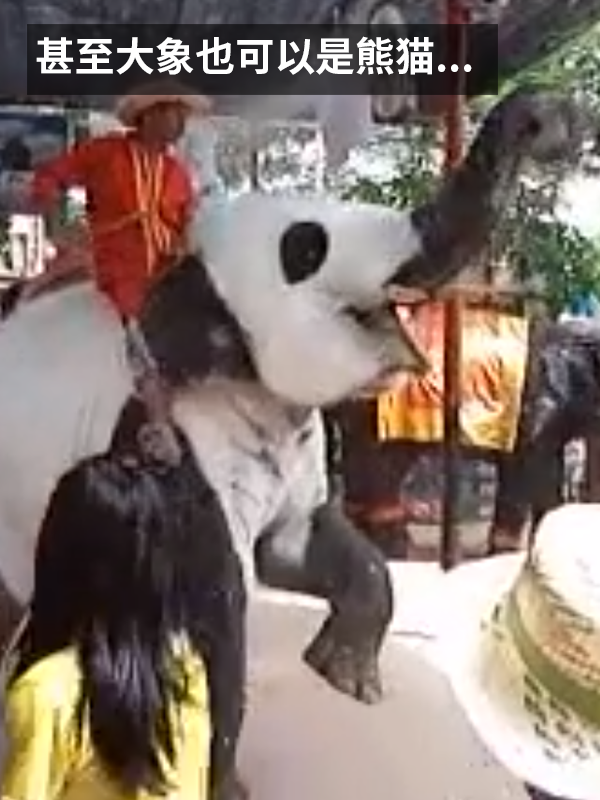 动物园用狗子假扮熊猫 难怪它们狗里狗气的  第10张