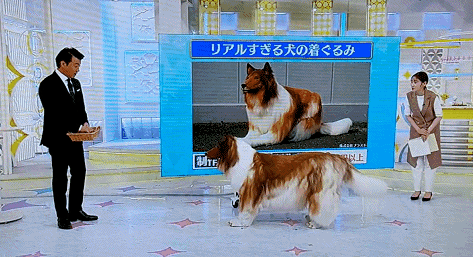 比真狗还狗：日本老哥花300万把自己改装成了狗  第28张