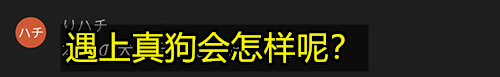 比真狗还狗：日本老哥花300万把自己改装成了狗  第32张