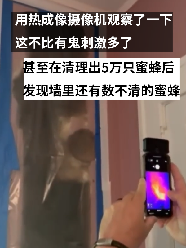 三岁女孩总说墙里有鬼：专业人士来了也被吓一跳！  第4张