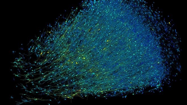 谷歌哈佛联合精细描绘百万分之一人脑！数据高达1400TB