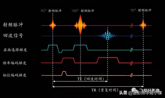 全球首款抗磁内存包装klevv内存包装：安全、创新、引领未来  第1张