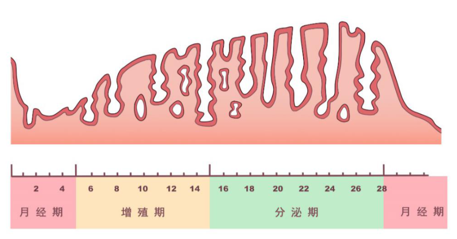 XMP内存混搭：性能影响有多大？