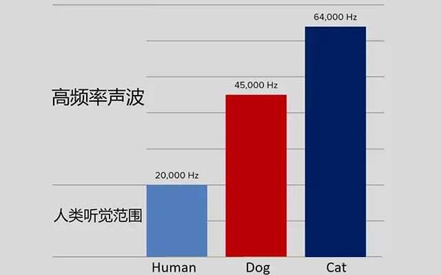 内存条933.2：从平凡到极速的激情之旅  第1张