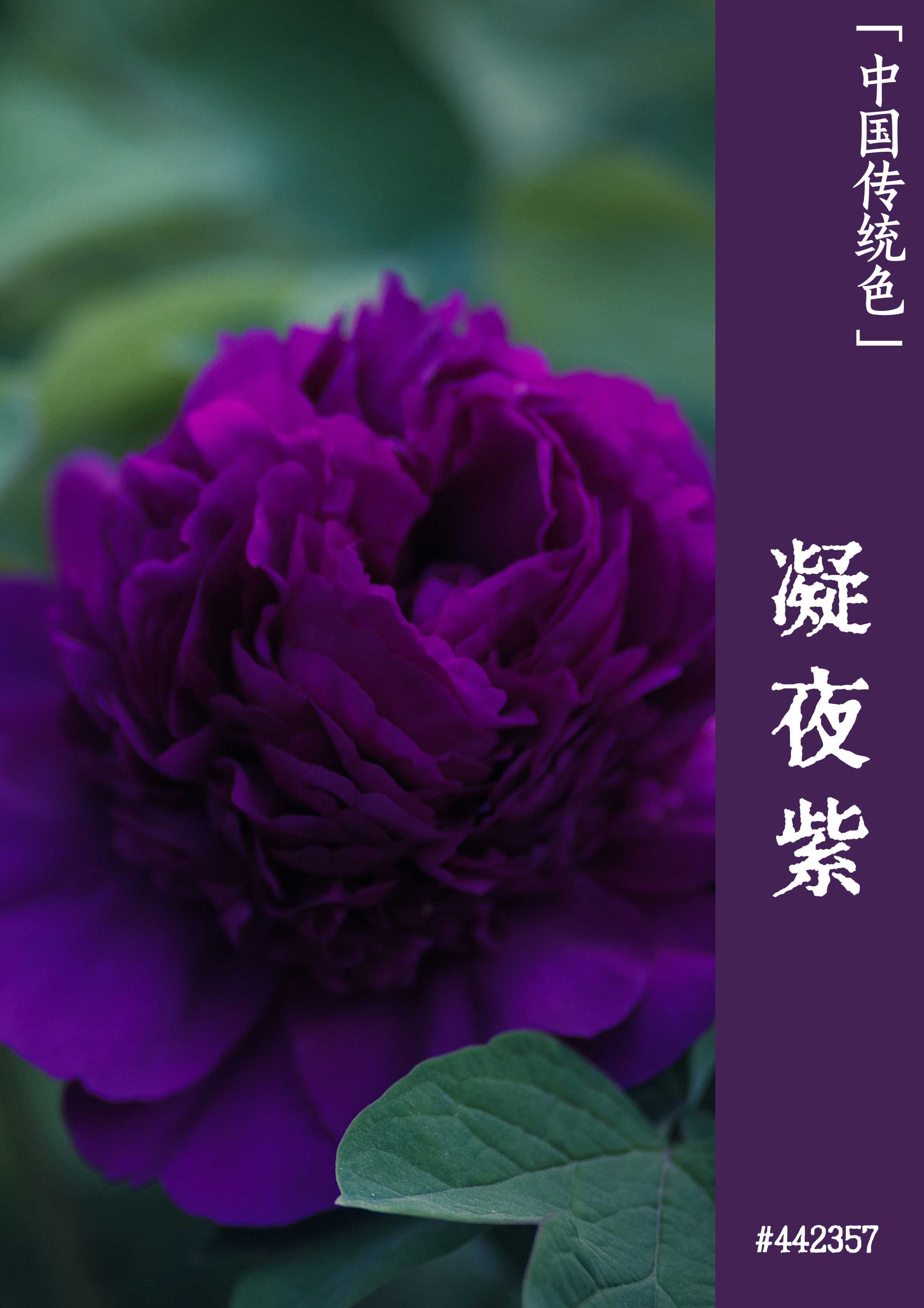 揭秘三款热销有源音箱，哪款蓝牙连接更稳定？  第1张
