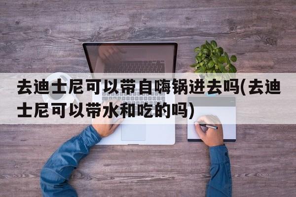 去迪士尼可以带自嗨锅进去吗(去迪士尼可以带水和吃的吗)