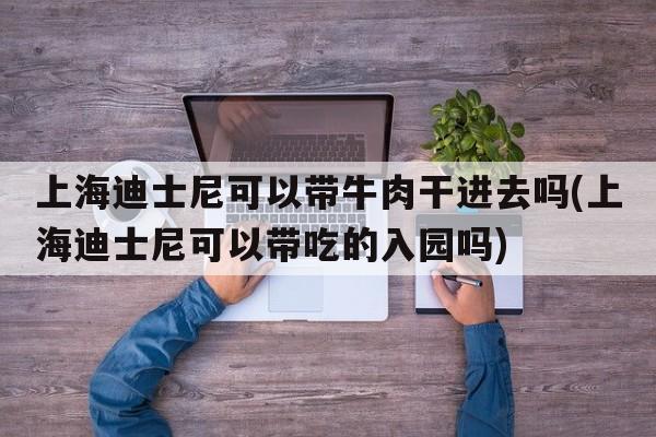 上海迪士尼可以带牛肉干进去吗(上海迪士尼可以带吃的入园吗)