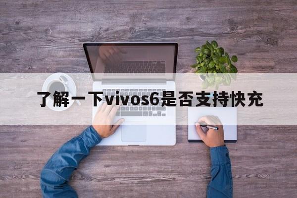 了解一下vivos6是否支持快充