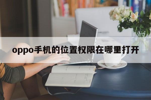 oppo手机的位置权限在哪里打开  第1张