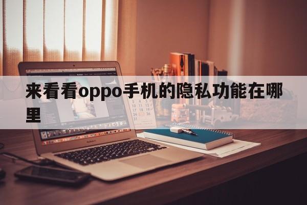来看看oppo手机的隐私功能在哪里  第1张