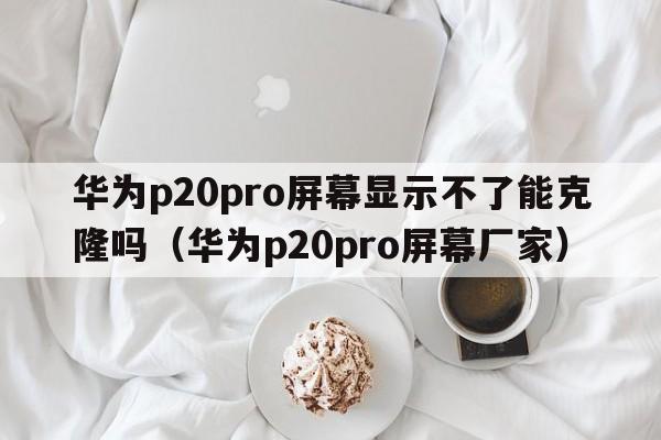 华为p20pro屏幕显示不了能克隆吗（华为p20pro屏幕厂家）