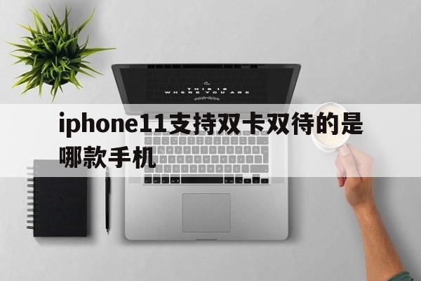 iphone11支持双卡双待的是哪款手机