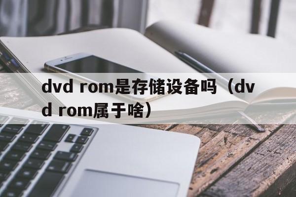 dvd rom是存储设备吗（dvd rom属于啥）  第1张