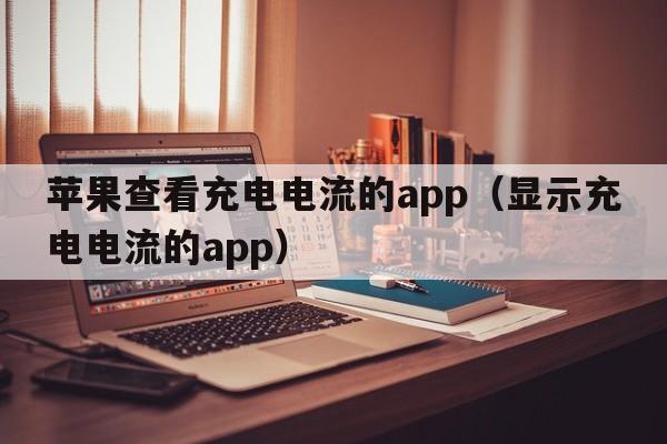 苹果查看充电电流的app（显示充电电流的app）  第1张