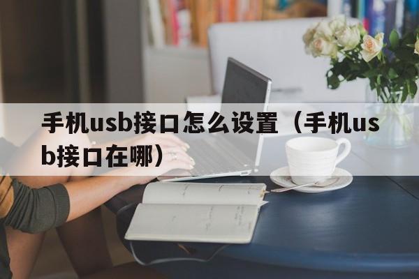 手机usb接口怎么设置（手机usb接口在哪）  第1张