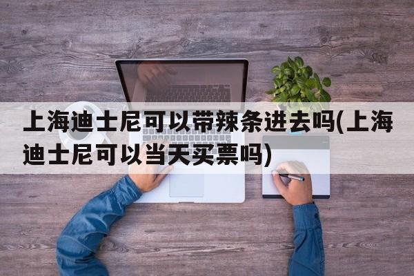 上海迪士尼可以带辣条进去吗(上海迪士尼可以当天买票吗)