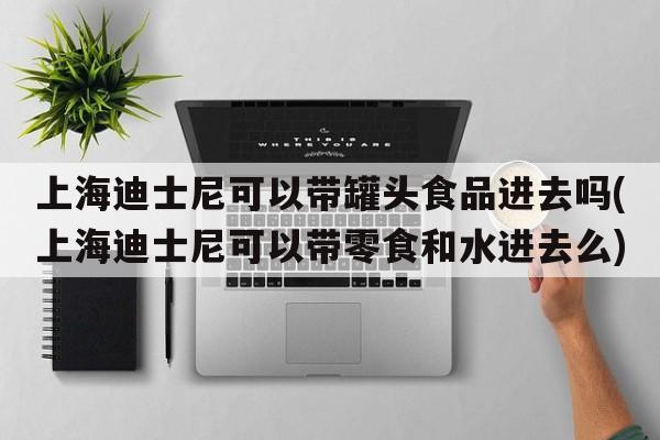上海迪士尼可以带罐头食品进去吗(上海迪士尼可以带零食和水进去么)