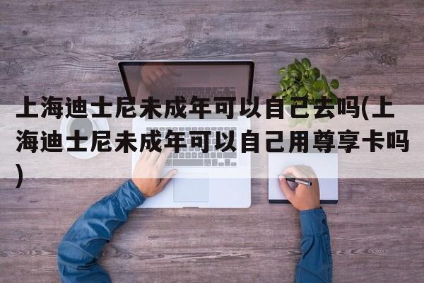 上海迪士尼未成年可以自己去吗(上海迪士尼未成年可以自己用尊享卡吗)
