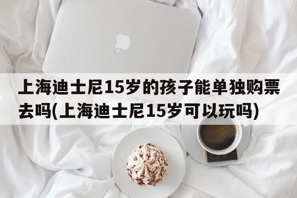 上海迪士尼15岁的孩子能单独购票去吗(上海迪士尼15岁可以玩吗)