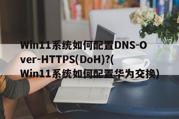 Win11系统如何配置DNS-Over-HTTPS(DoH)?(Win11系统如何配置华为交换)  第1张