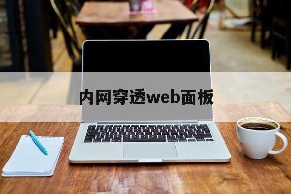 内网穿透web面板