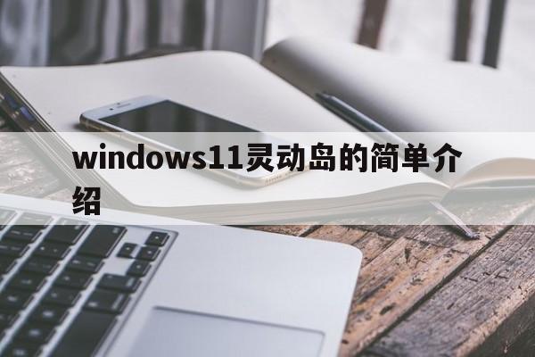 windows11灵动岛的简单介绍