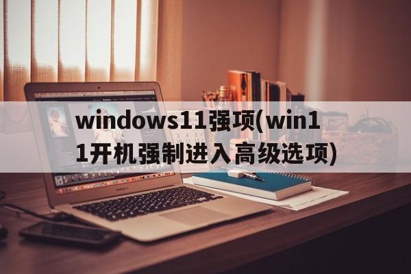 windows11强项(win11开机强制进入高级选项)