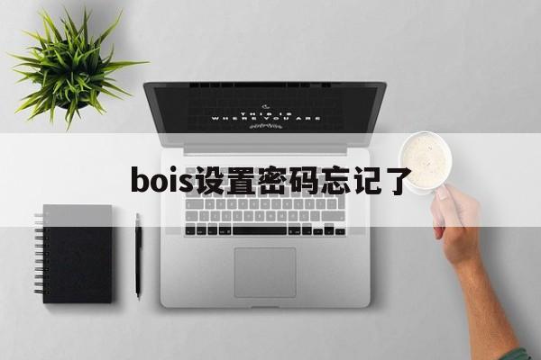 bois设置密码忘记了