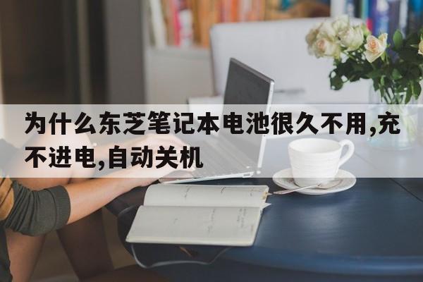 为什么东芝笔记本电池很久不用,充不进电,自动关机