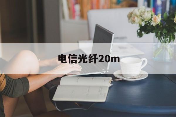 电信光纤20m