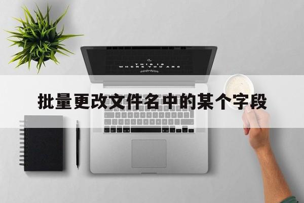 批量更改文件名中的某个字段  第1张
