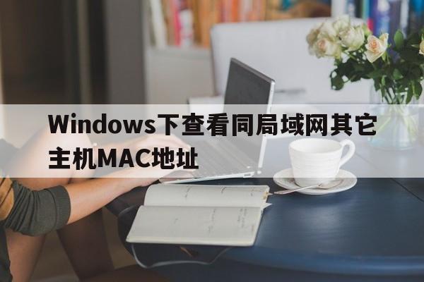 Windows下查看同局域网其它主机MAC地址