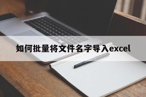 如何批量将文件名字导入excel